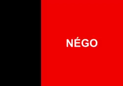 Initial version of the modern day flag of Paraíba