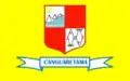 Flag of Canguaretama