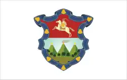 Flag of Guatemala City, Guatemala