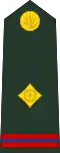 Warrant officer (Bengali: ওয়ারেন্ট অফিসার, romanized: Ōẏārēnṭa aphisāra) (Bangladesh Army)[56]
