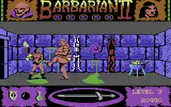 A digital representation of a barbarian, wearing only a loincloth, holds his axe at the ready as a big humanoid monster kicks him. On the top left and right corners of the screen are gauges that depict the lives of the combatants. The word "Barbarian II" lies in the top centre with five globes under it and placed between small pictures of a wizard and the barbarian. The player's score is displayed in the lower right corner. The lower centre of the screen depicts a sword that acts as a compass. The lower left panel shows items collected by the player character.