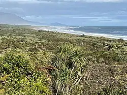View of Barrytown Flats from Razorback Point