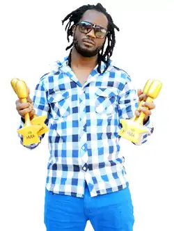 Bebe Cool at the HiPipo Music Awards in 2014