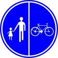 D9b: Segregated path for pedestrians and cyclists