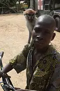 Beninese boy with pet monkey