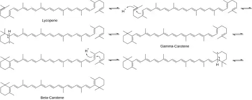 Beta-Carotene Mechanism