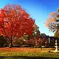 Biemesderfer Executive Center at Millersville University, behind autumn trees of gold