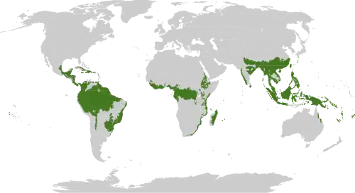 moist forest regions