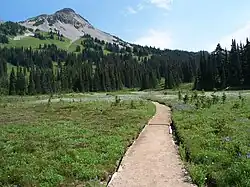 Part of the trail from Garibaldi Lake to The Black Tusk.