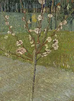 Almond Tree in Bloom 1888 Van Gogh Museum, Amsterdam (F557)