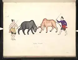 Image 8A bull fight, 19th-century watercolour (from Culture of Myanmar)