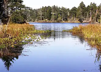 View of Bradley Lake