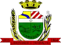 Official seal of Camaquã