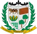 Coat of arms of Goianésia do Pará