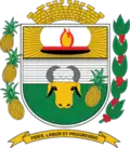 Coat of arms of João Ramalho