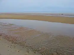 Mudflats in Brewster, Massachusetts, United States, extending hundreds of yards offshore at the low tide. The line of Wrack (seaweed) and seashells in the foreground indicates the high-water mark.