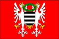 Flag of Březnice