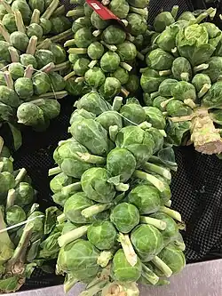 Brussels sprouts on a stalk at a supermarket