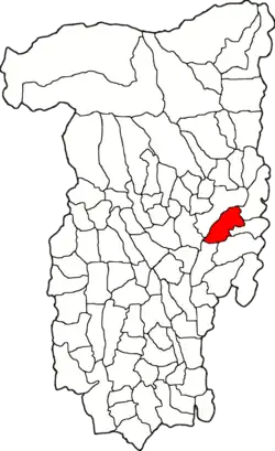 Location in Vâlcea County