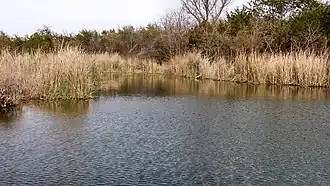 A photo of Buffalo Wallow in Abilene State Park