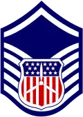 Cadet master sergeant insignia