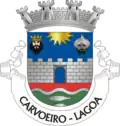 Coat of arms of Carvoeiro