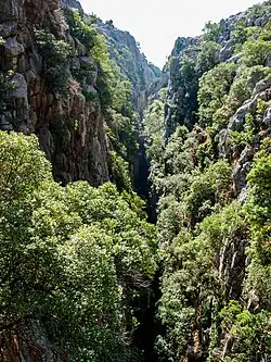 Cañón de las Buitreras&nbsp;[es]