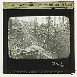 Snigging logs with steam winch