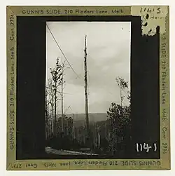 Cable logging ropeway - Thomson valley