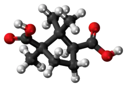 Ball-and-stick model of the camphoric acid molecule