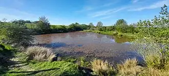 Carrmyers Pond, on boundary of Catchgate and Harelaw