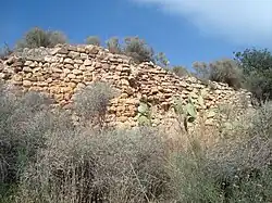 Ruins of the medieval castle