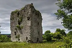 Moydow (Castlerea) Castle