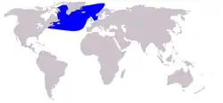 Northern bottlenose whale range