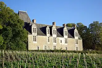 Chateau of Cour-au-Berruyer