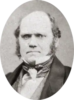 Studio photo showing Darwin's characteristic large forehead and bushy eyebrows with deep set eyes, pug nose and mouth set in a determined look; he is bald on top, with dark hair and long side whiskers but no beard or moustache