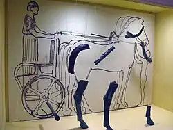 Fragments and drawing of Charioteer