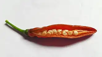 Ripe chili pepper with seeds