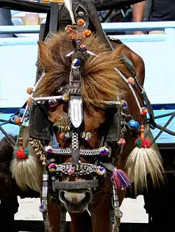Harness bridle decorated with tassels and bells