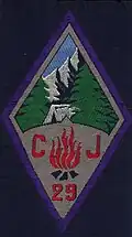 Insignia of CJF 29.