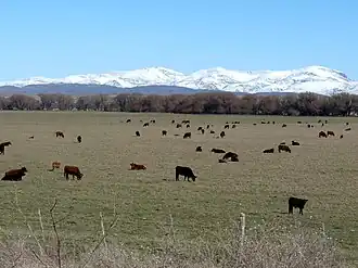 Surroundings of Coronel Suárez.
