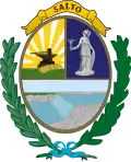 Coat of arms of Salto Department