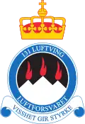 131 Air Wing