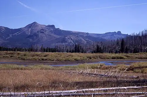 As viewed from Thorofare, 2002