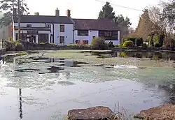 In the foreground is the large village duck pond. Beyond are a stone wall and road, with the post office and white painted houses.