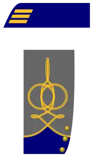 Captain (Marine Corps shown)