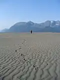Sand dunes on the Copper River