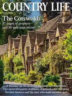 Cover of Country Life magazine showing houses