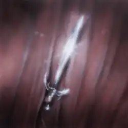 A gleaming silver dagger lying on a dark pink and brown cloth