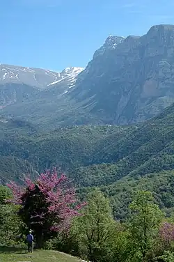 A small village in the middle of dense vegetation. Huge cliffs can be seen on the background right.